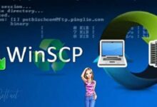 Download WinSCP Free for Windows PC, Mac and Linux