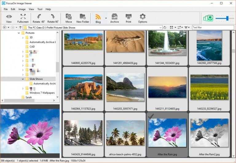 FocusOn Image Viewer Télécharger Gratuit 2025 pour Windows