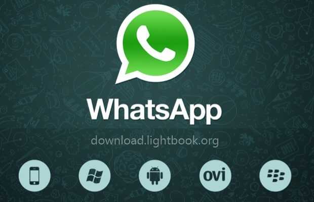 WhatsApp Business Download Free for Windows, Mac & Android