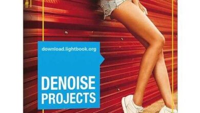 Download DENOISE Projects  Removes Image Defects
