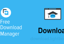 Free Download Manager Google Chrome Extension for PC