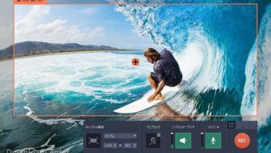 Download Movavi Video Suite Design Video Clips on Windows