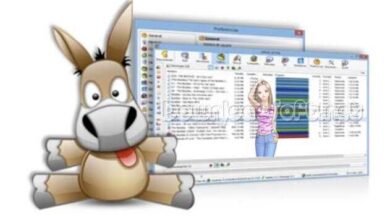 Download eMule Free Share Multimedia Files and Documents