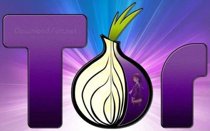 Download Tor Browser for Windows, Mac, Linux, Android