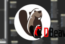 Download DBeaver Free Multi-Platform Database Tool for PC